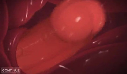 Sexy Pokemon trainer engaged in anal sex with Charizard