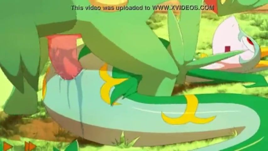 Pokemon sex in a cool 3D porn cartoon compilation