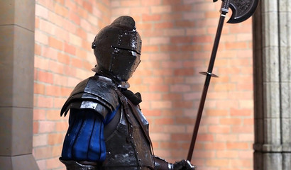 Phallic encounters of a Futanari queen