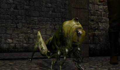 Who says that insects have tiny penises - a monster surprise