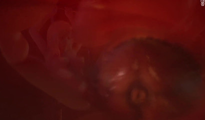 The land of the giant Futanari cocks