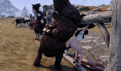 Lucky day for horse rape