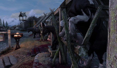 It's just a matter of horse breeding