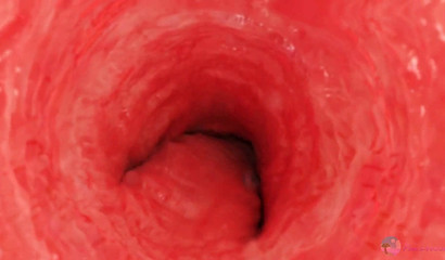 Furry animals lusting after raw anal sex 3D