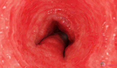 Furry animals lusting after raw anal sex 3D