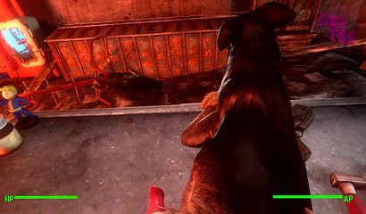 Huge human 3D cock drills dog's ass