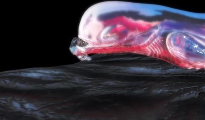 Delicious 3D cutie takes huge tentacles in another dimension