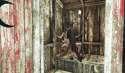 Dog cock for the lustful Charlotte in a wooden toilet