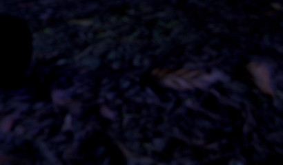 3D blonde slut pleasing Halloween monster