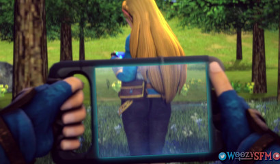 My amazing camera helps me see Princess Zelda's naked curves