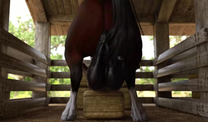 Stallion shakes his huge balls while screwing a 3d babe in the barn