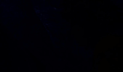 If you go down the woods today monsters will rape you