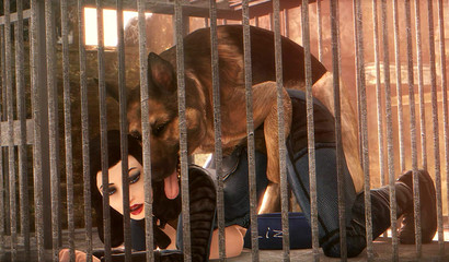 Caged brunette Elizabeth has sex with German Shephard