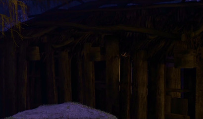 Star Wars Futanari porn to warm your nights