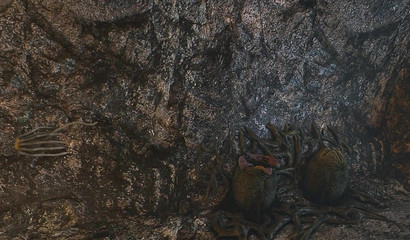 Busty 3D Samus Aran is crazy for alien cock