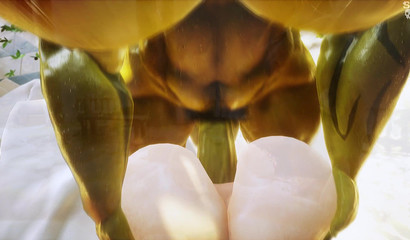 Futanari Fucks Big Tit Blonde Before Fight