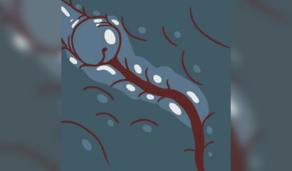 Giantess Sucks Cock Princess Peach From Mario