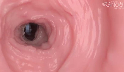 Japanese student surrenders to teacher in missionary position