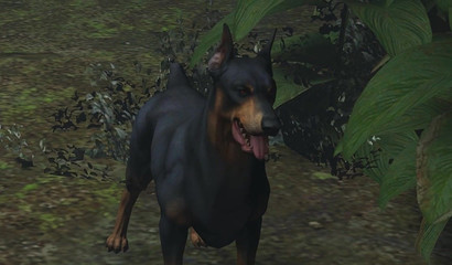 Girls Elena Fisher and Nadine Ross from Uncharted raped by dogs