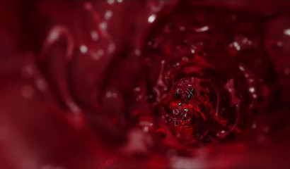 Warrior girl with big sword got long tentacles in her wet pussy