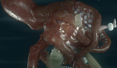 Huge octopus fucks with tentacles cute girl underwater