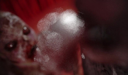 Assustador grande aranha assistir dois zumbis estuprar uma menina