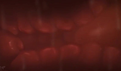 狐狸精Breaksen吸龙Chirizard的巨大的阴茎从XXX卡通