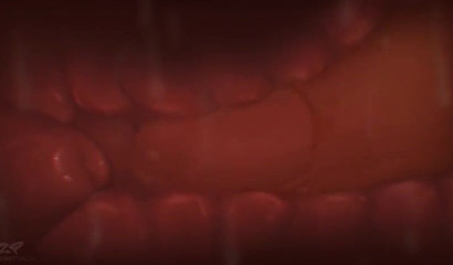 狐狸精Breaksen吸龙Chirizard的巨大的阴茎从XXX卡通