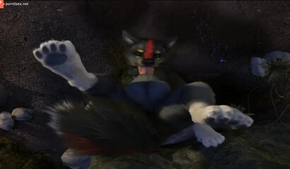 Lone gray wolf gives himself a blowjob, porn cartoon