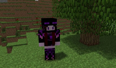 Homemade fuck in Minecraft format