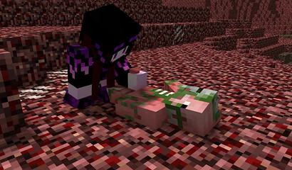 Homemade fuck in Minecraft format