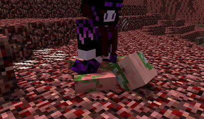 Homemade fuck in Minecraft format