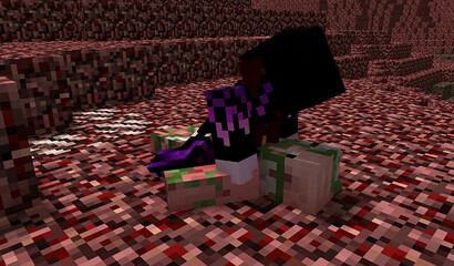 Homemade fuck in Minecraft format