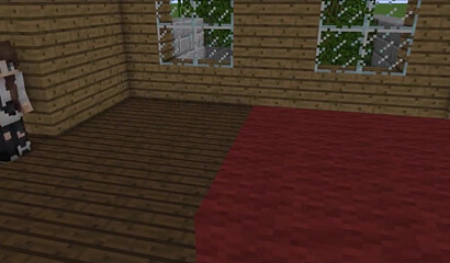 Home video in the house