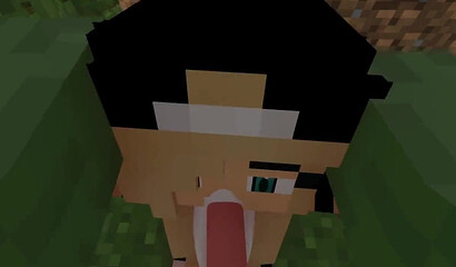 Blowjob in Minecraft from the first person