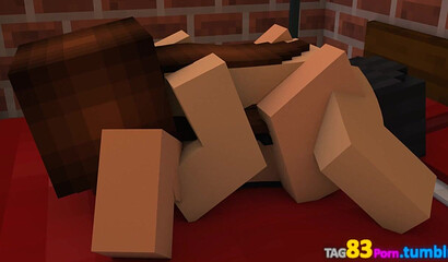 Role-playing sex in Minecraft