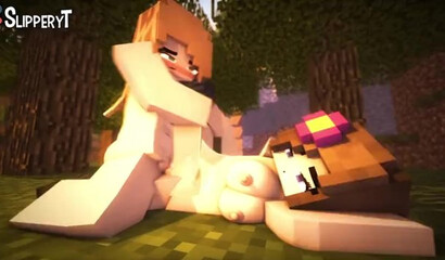 Porn from the Minecraft game