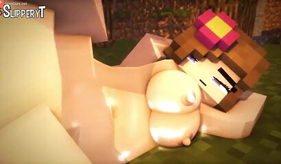 Porn from the Minecraft game