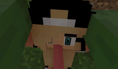 Porn in Minecraft