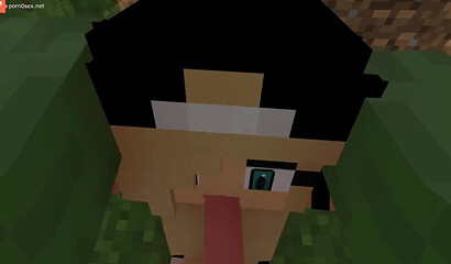 Porn in Minecraft