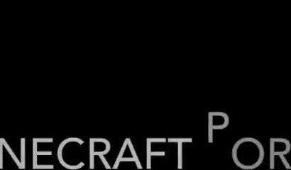 Porn cartoons from the game Minecraft