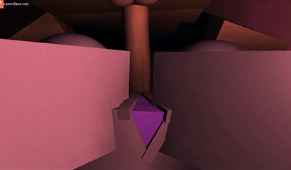 Sex in the game Minecraft