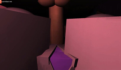 Sex in the game Minecraft