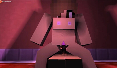 Sex in the game Minecraft