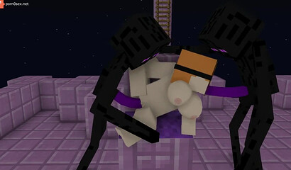 Fuck in the Minecraft game