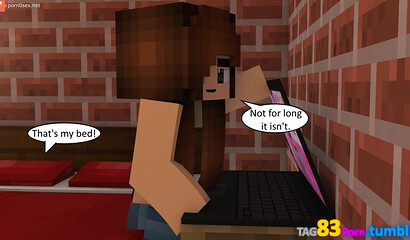 Sex in the world of Minecraft games