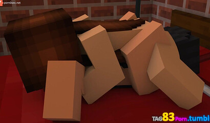 Sex in the world of Minecraft games