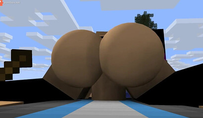 Porn in the game Minecraft