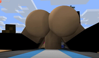 Porn in the game Minecraft