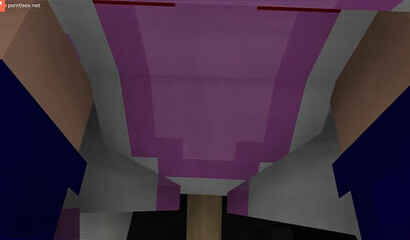 The guy created porn in the game Minecraft